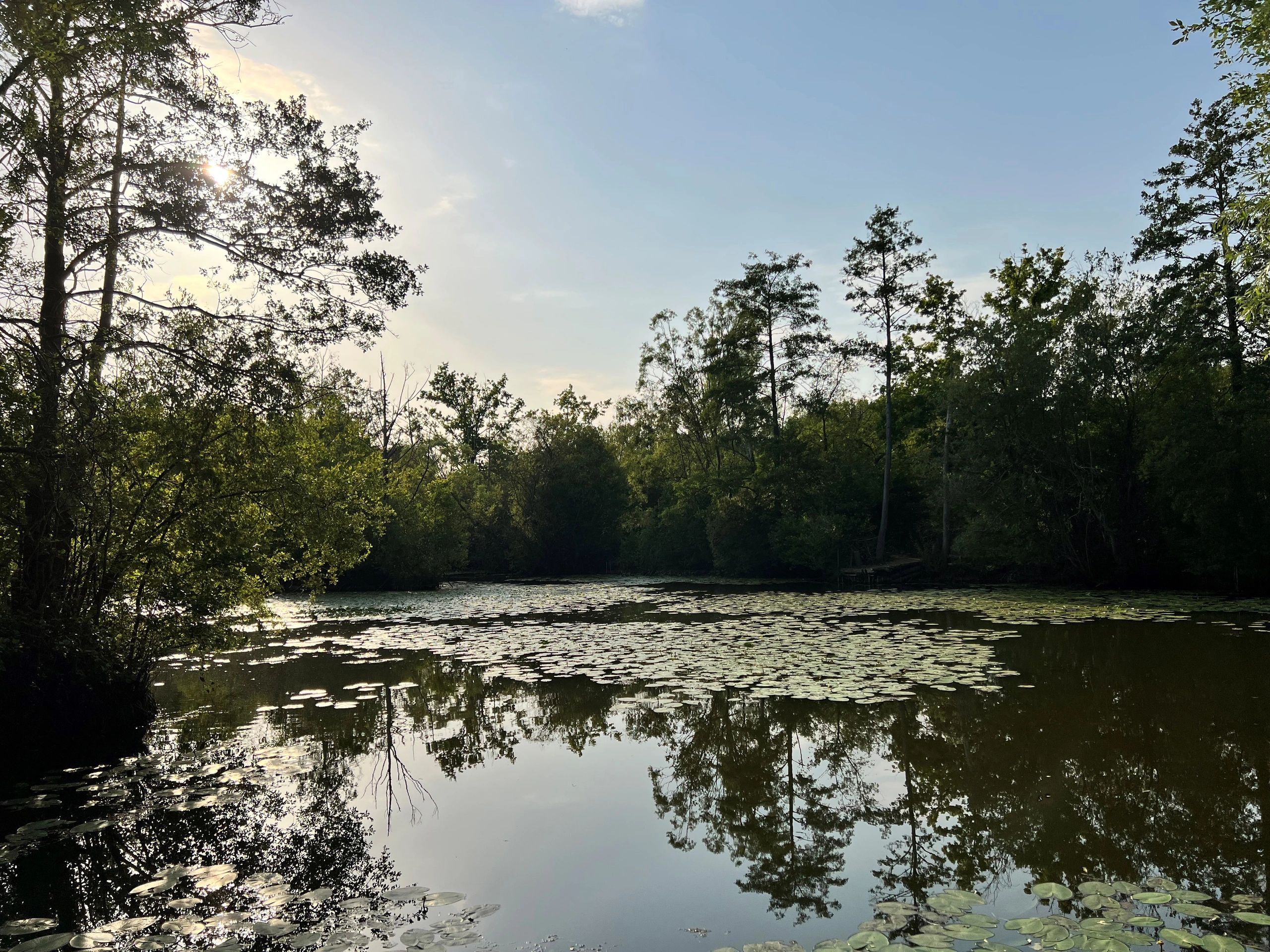 Farnborough And District Angling Society Fishing Club